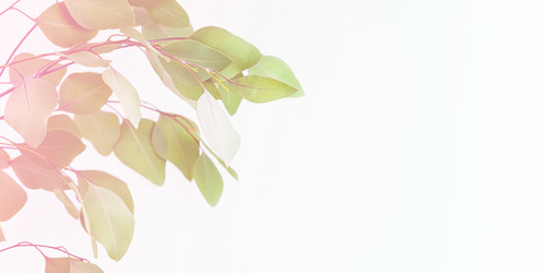 Similar image 22497832