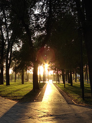 Similar image 22585348