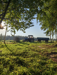 Similar image 22585349