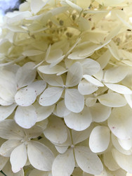 Similar image 22585362