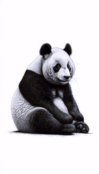 Similar image 22518524