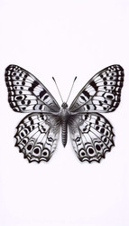 Similar image 22520023