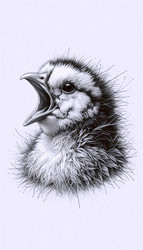 Similar image 22547929