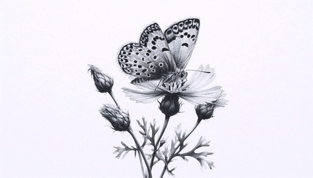 Similar image 22549777