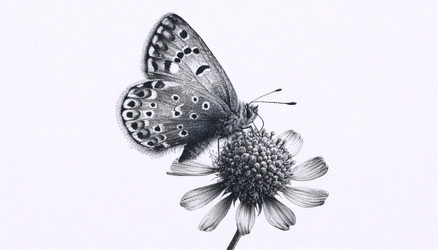 Similar image 22550453