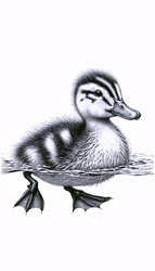 Similar image 22550899