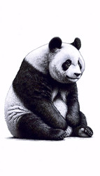 Similar image 22552214