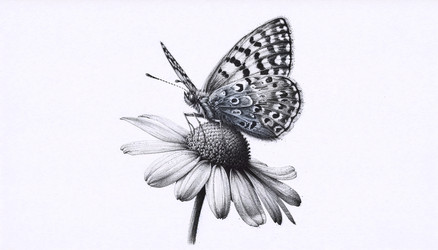 Similar image 22511341