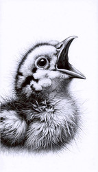 Similar image 22511644