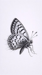 Similar image 22511753