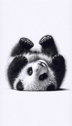 Similar image 22512237