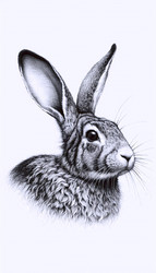 Similar image 22512263