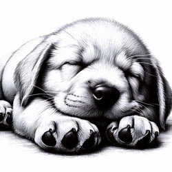 Similar image 22512405