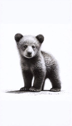 Similar image 22512943