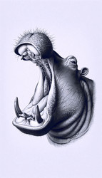 Similar image 22512974