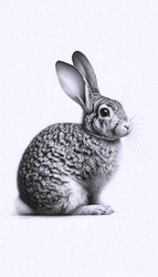 Similar image 22513119