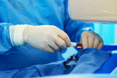 Similar image 22501872