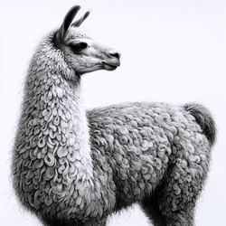 Similar image 22513397