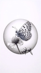 Similar image 22523662