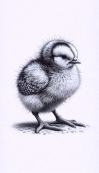 Similar image 22524207