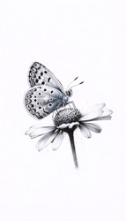 Similar image 22525437