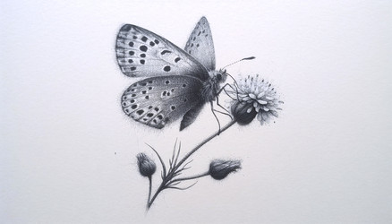 Similar image 22525712