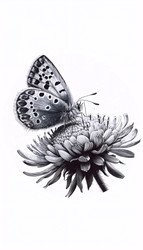 Similar image 22552078