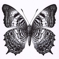 Similar image 22552215