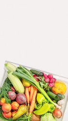 Similar image 22497754