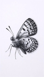 Similar image 22510670