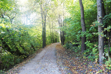 Similar image 22501415