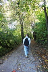 Similar image 22501416