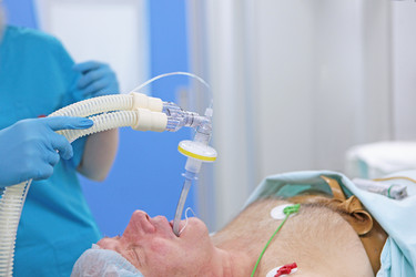 Similar image 22501945