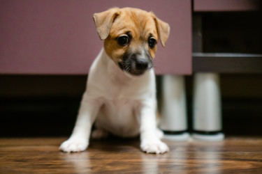 Similar image 22490117