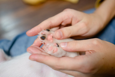 Similar image 22490136