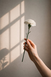 Similar image 22480167