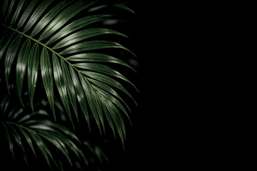 Similar image 22480168