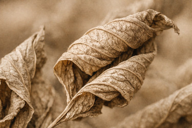 Similar image 22478471