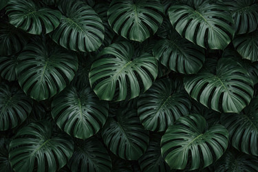 Similar image 22478485