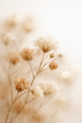 Similar image 22478487