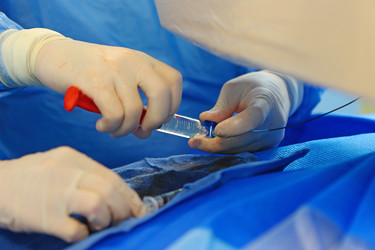 Similar image 22501807