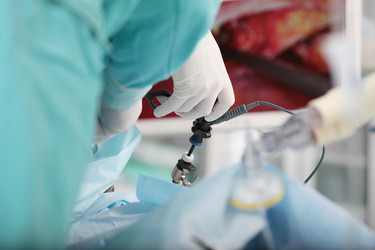 Similar image 22501838