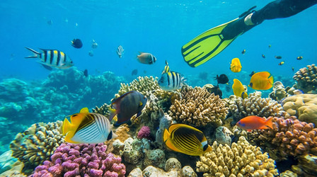 Similar image 22484672