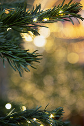 Similar image 22501918