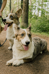 Similar image 22593328