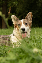 Similar image 22593329