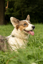 Similar image 22593331