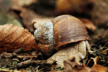 Similar image 22589871