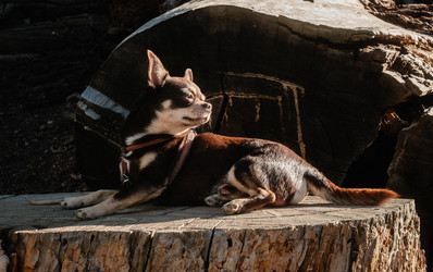 Similar image 22590022