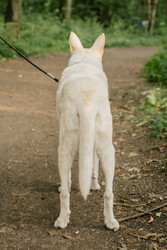 Similar image 22593360